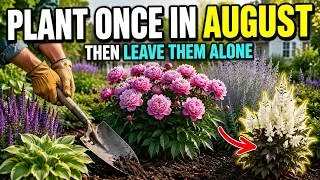 Thumbnail: 8 Perennials You MUST Divide in August (And 7 That Die If You Try)