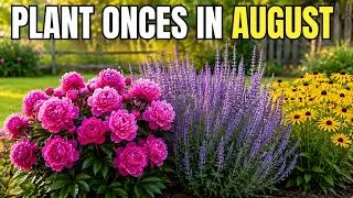 Thumbnail: Too Lazy To Garden ? Plant These 9 Perennials In August (Come Back Forever)