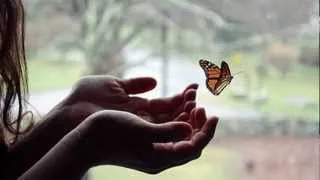 Thumbnail: Ludwig van Beethoven -- Melody of Love ( beautiful)