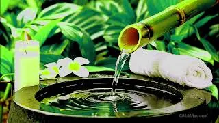 Thumbnail: Soothing Relaxation Music for Deep Sleep, Inner Calm, Meditation, and Stress-Free Mind