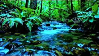 Thumbnail: Soothing Relaxation Music for Deep Sleep, Inner Calm, Meditation, and Stress-Free Mind