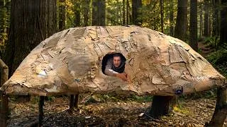 Thumbnail: Papier mache house made of cardboard boxes in the forest! A crazy bushcraft experiment