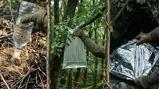 Thumbnail: Amazing Survival and Bushcraft Secrets! | Essential Wilderness Camping Tactics