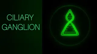 Thumbnail: Ciliary Ganglion Explained | All 3 Roots + Parasympathetic Pathway to the Eye