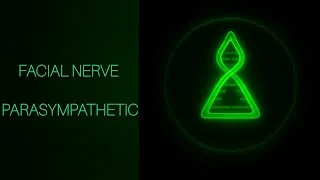 Thumbnail: Facial Nerve Parasympathetic (GVE) Explained | Greater Petrosal & Chorda Tympani | CN VII