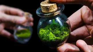 Thumbnail: Creating Mini Moss Worlds for a Driftwood Bonsai Tree