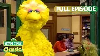 Thumbnail: Big Bird's Beach Plans | Sesame Street Classics Full Episode