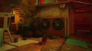 Thumbnail: Stray  -Tele Chat trophy