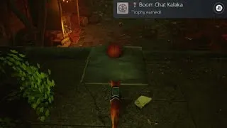 Thumbnail: Stray - Boom Chat Kalaka trophy