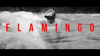 Thumbnail: Flamingo | 509 Sessions Volume VIII | Oregon Coast Range Whitewater Kayaking