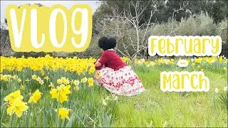 Thumbnail: Feb - March Vlog | BTSSB Orders  & A Flower Garden Meetup 🌸 🛍️