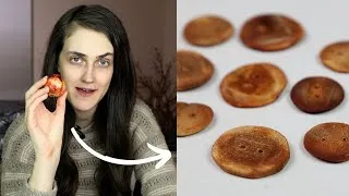 Thumbnail: Make Buttons From Avocado Pits