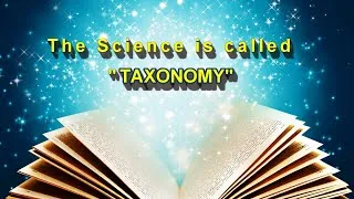 Thumbnail: Introduction to Taxonomy