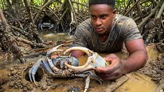 Thumbnail: You Won’t Believe How I Caught This Giant Mud Crab! | Catch & Cook