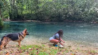 Thumbnail: Relaxing Jungle Camping & Crayfish Catch And Cook By The River 