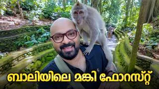 Thumbnail: ബാലിയിലെ മങ്കി ഫോറസ്റ്റ് | Sacred Monkey Forest Sanctuary Ubud Bali | Shaan Geo