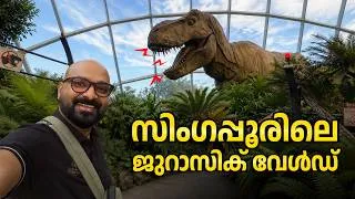 Thumbnail: സിംഗപ്പൂരിലെ ഏറ്റവും മനോഹരമായ കാഴ്ചകൾ | Marina Bay Sands and Gardens by the Bay Singapore