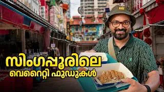 Thumbnail: സിംഗപ്പൂരിലെ വെറൈറ്റി ഫുഡും കാഴ്ചകളും | Singapore Travel Vlog Malayalam - Chinatown & Little India