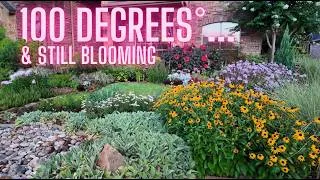 Thumbnail: Texas Garden Tour | July 2026 | Thriving in 100° Summer Heat