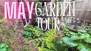 Thumbnail: 🌿North Texas Cottage Garden in Full Bloom Part 1 🌿 Gardening in Texas in May 🌿Zone 8b🌿