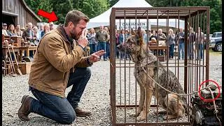 Thumbnail: Navy SEAL Found His Dead K9 Alive for $1—What Happened Next Shocked the Town