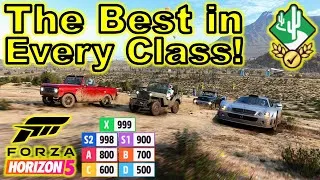 Thumbnail: The BEST Cars In Each Class For Cross Country In Forza Horizon 5!