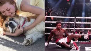 Thumbnail: ERROL SPENCE vs TERENCE CRAWFORD WAS LIKE WATCHING YOUR FAVORITE DOG GET HIT BY CAR