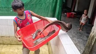 Thumbnail: Tasfia and Raisa Catching Big Catfish in Aquarium