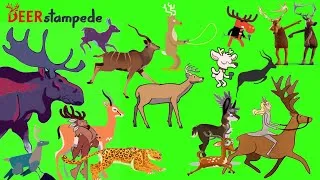 Thumbnail: animal stampede part - 11 | deer stampede green screen | deer version | deer run