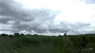 Thumbnail: Cloudy River Walk | Soil Digging & Sobuj Oronno Moments 🌿☁️🌱 #nature #cloudyweather #river #green