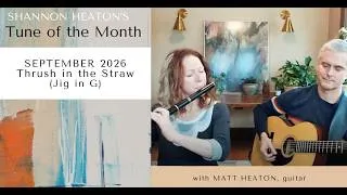 Thumbnail: Thrush in the Straw [Jig in G] - Tune of the Month with Shannon Heaton