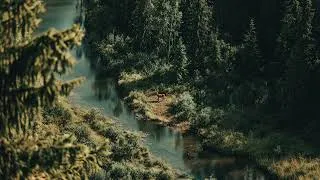 Thumbnail: Volen Sentir - Kai (Album Version)