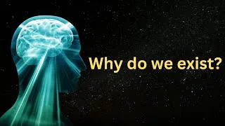 Thumbnail: 2+ Hours of The Purpose Of Life to Fall Asleep to