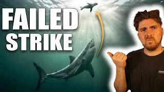 Thumbnail: Why 60% of Great White Shark Hunts End In TOTAL Failure