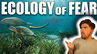 Thumbnail: The One Rule That Proves Sharks Control the Entire Ocean