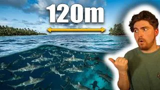 Thumbnail: The Tiny Atoll Where Hundreds of Sharks Never Leave
