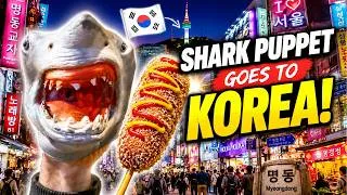 Thumbnail: Shark Puppet Was NOT READY For South Korea 🇰🇷