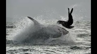Thumbnail: Shark Bites Victim in 2