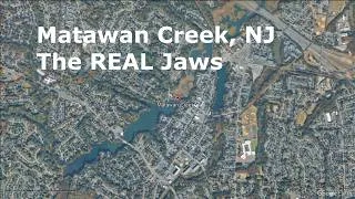 Thumbnail: Matawan River Attacks Revisited - Jaws