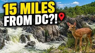 Thumbnail: Great Falls Virginia  The Best Waterfall Near Wash