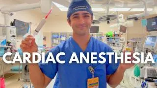 Thumbnail: My First Week of Cardiac Anesthesia