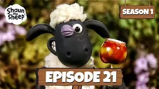 Thumbnail: "Sheep on the Loose" | Season 1 Episode 21
