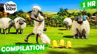 Thumbnail: AM I THE MOTHER DUCK NOW? 🦆🐥 | Shaun the Sheep 🐑