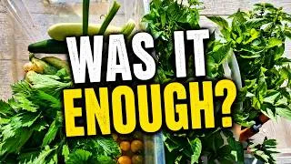 Thumbnail: We Grew Our Own Food…