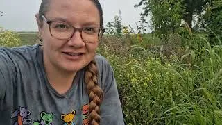 Thumbnail: Why Aren’t My Pumpkins Growing?