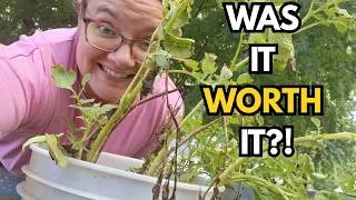 Thumbnail: I Harvested My 5-Gallon Garden Bucket…