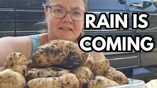 Thumbnail: So I Harvested EVERYTHING I Could