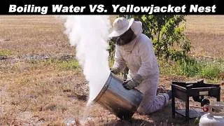 Thumbnail: The Best Way to Destroy a Yellowjacket Nest - Boiling Water = Complete Destruction