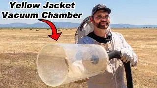 Thumbnail: Sucking Up Dangerous Yellowjackets with a Shop Vac Vacuum Chamber!