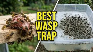 Thumbnail: 5 Proven Methods to Quickly Trap 1000s of Yellowjackets!  Best Wasp Traps Ever!